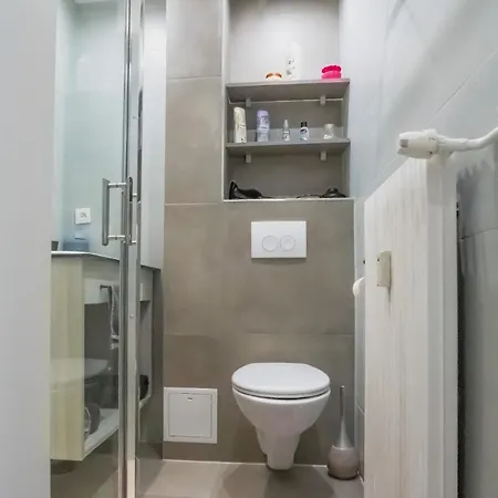 Djokovic's 科尔马