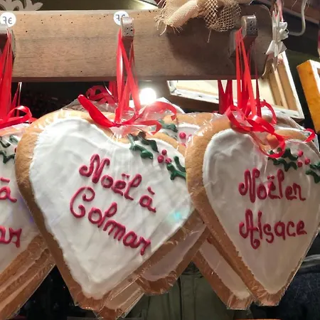 Djokovic's 科尔马