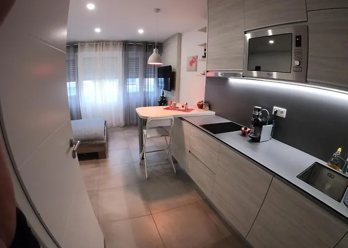 Djokovic's * 科尔马