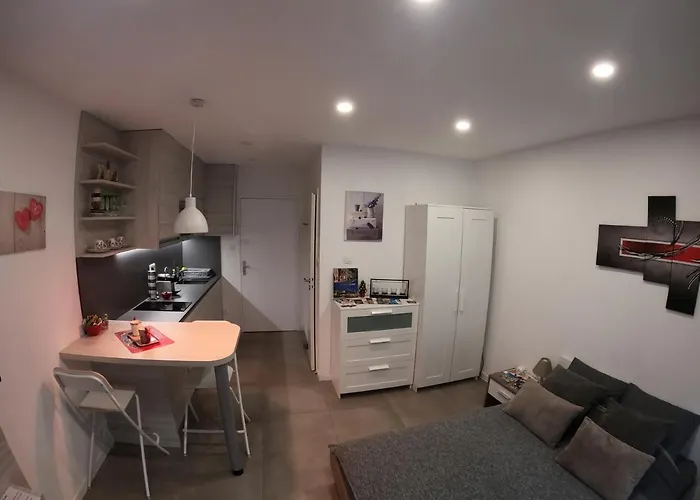 Djokovic's * 科尔马