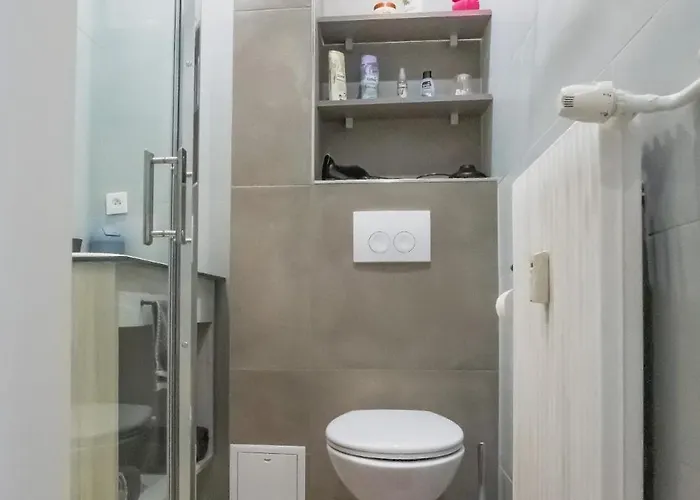 Djokovic's 科尔马