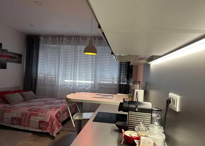 公寓 Djokovic's 科尔马