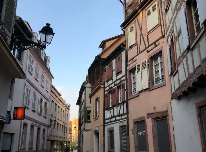 Djokovic's * 科尔马